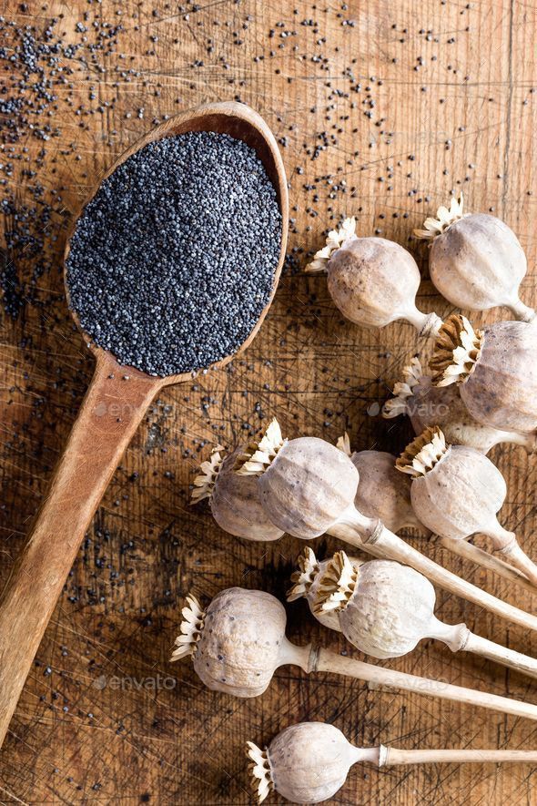 Poppy Seeds from Pods