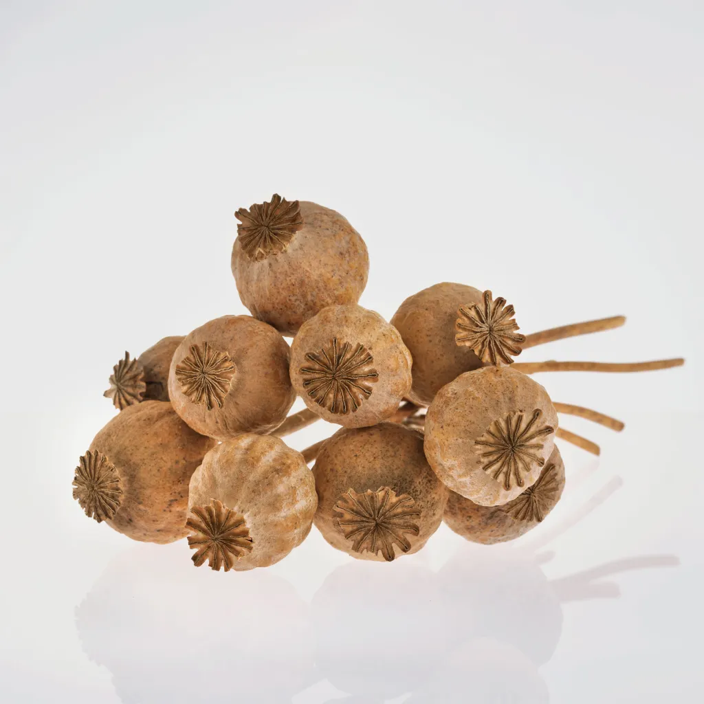 Buy poppy pods online