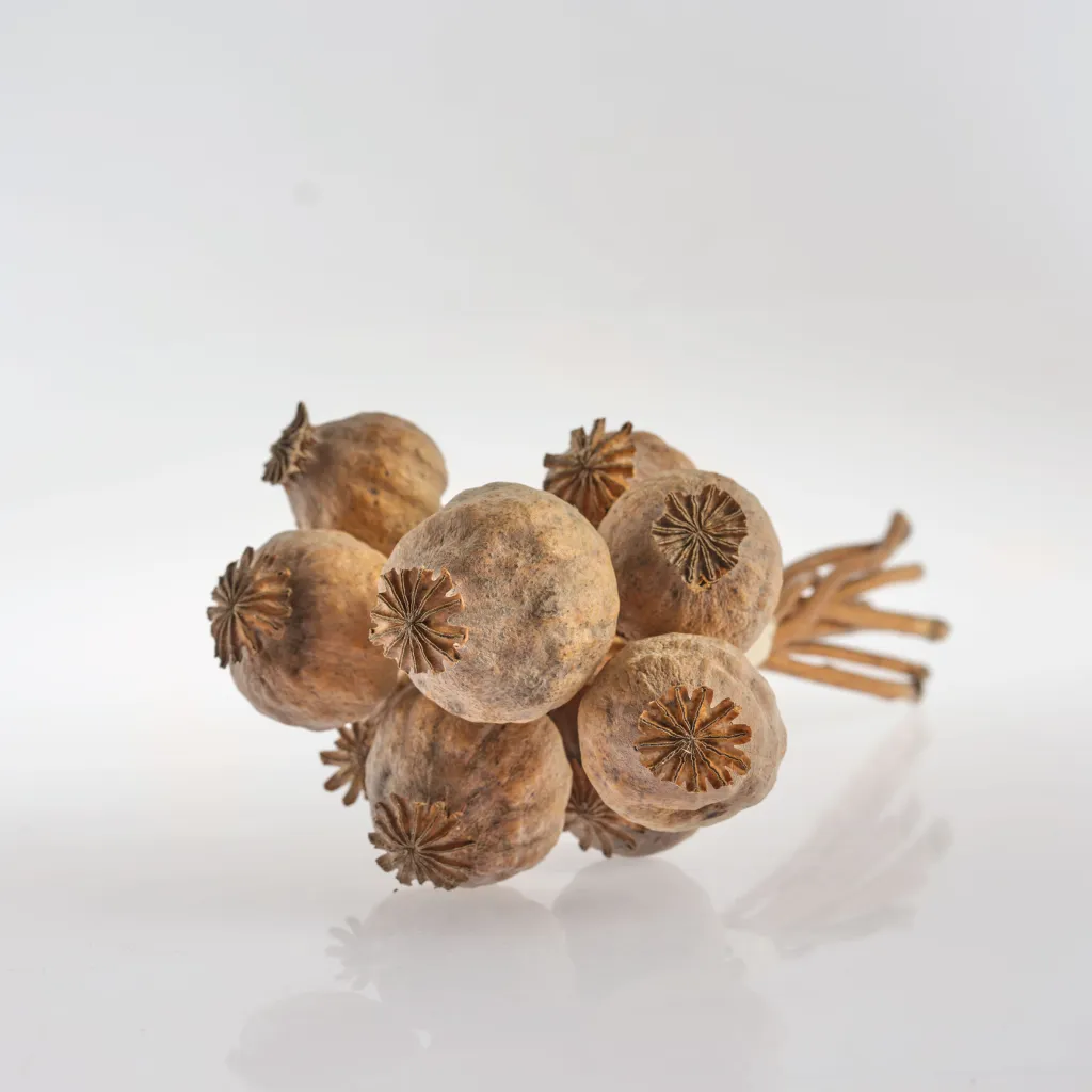 Buy poppy pods online