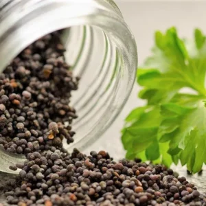 Poppy Seed Pods – Buy Natural Poppy Pods with Seeds Online
